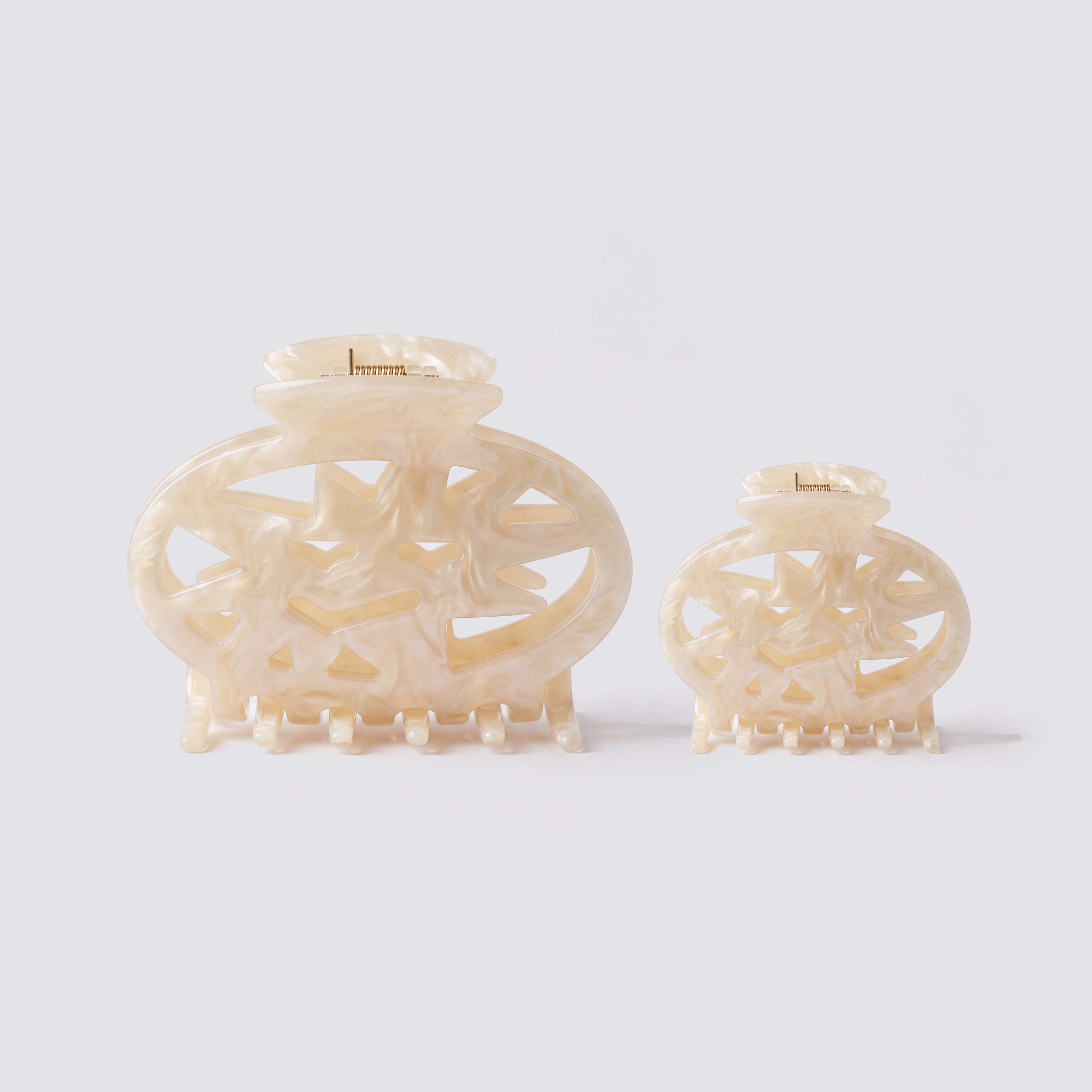 2 pack hair clips