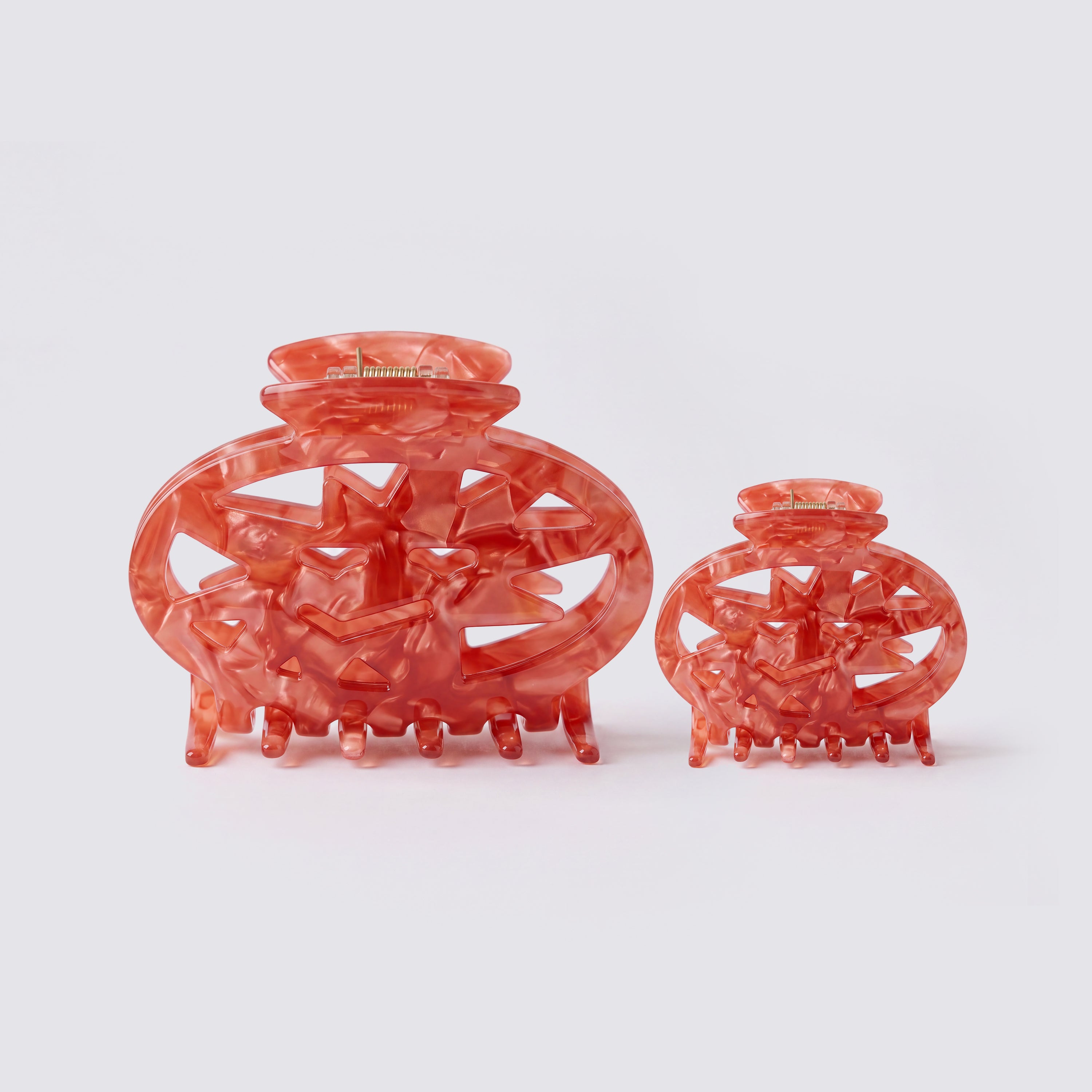 2 pack hair clips